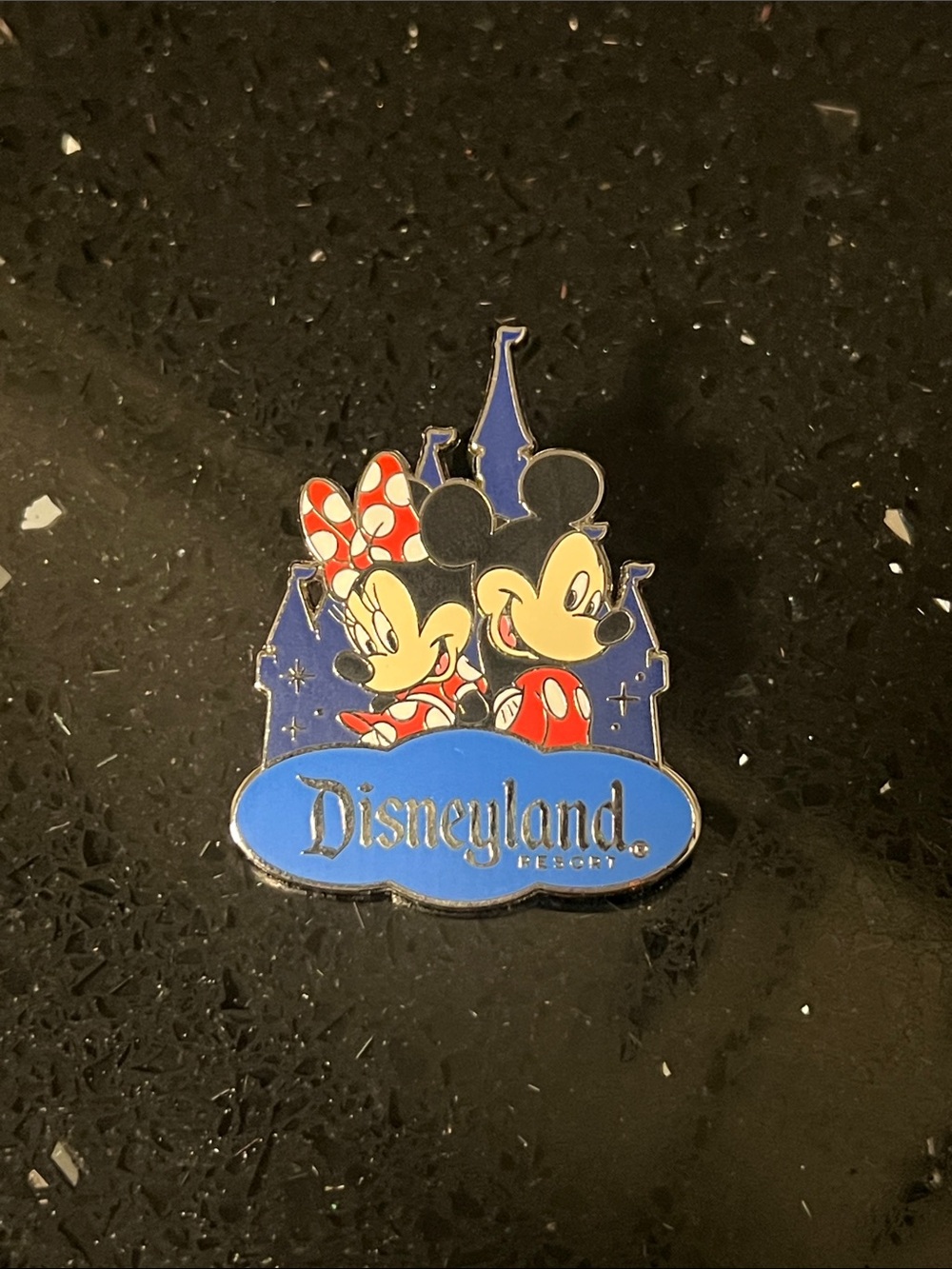 Disneyland Pin